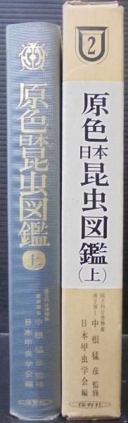 原色日本昆虫図鑑（上） 甲虫編 | 日本甲虫学会編 | 保育社 | ¥1,000