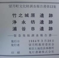 竹之城原遺跡・浄永坊遺跡・浦谷B遺跡 : 緊急発掘調査報告書