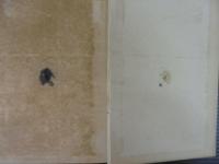 作者の感想