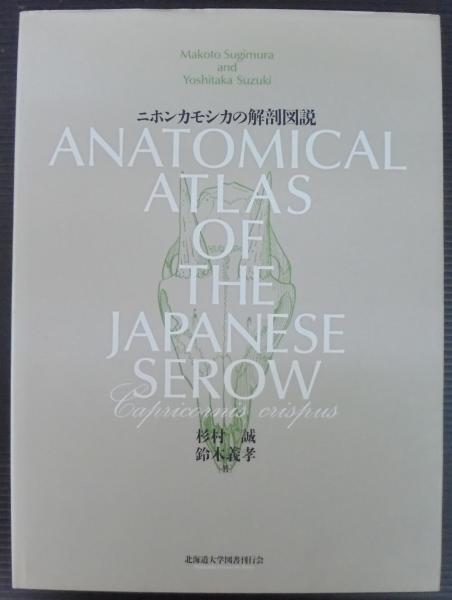 ニホンカモシカの解剖図説(杉村誠, 鈴木義孝 著) / あじさい堂書店 