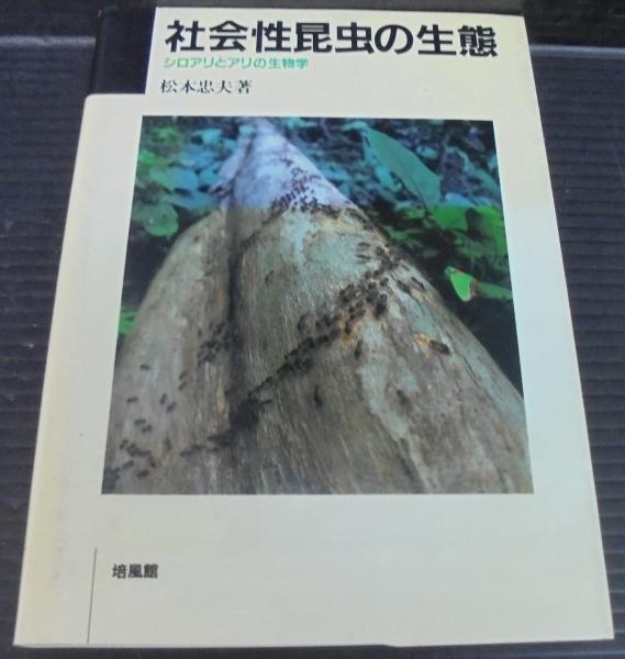社会性昆虫