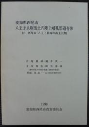 八王子貝塚出土の陸上哺乳類遺存体 : 付 西尾市・八王子貝塚の出土貝類