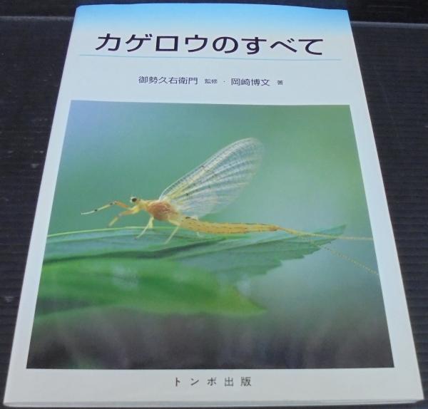 カゲロウのすべて 御勢久右衛門 監修 岡崎博文 著 あじさい堂書店 古本 中古本 古書籍の通販は 日本の古本屋 日本の古本屋