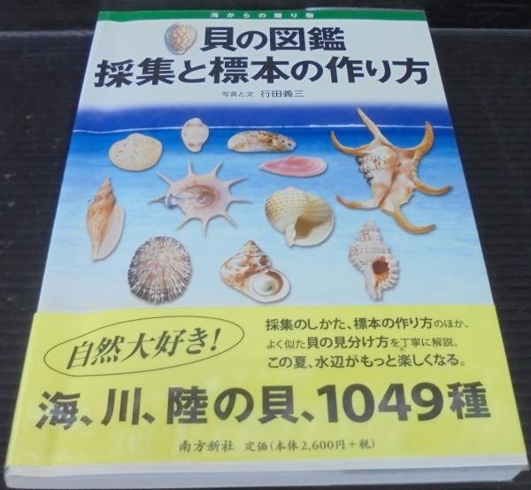 貝の図鑑採集と標本の作り方 海からの贈り物 行田義三 写真と文 古本 中古本 古書籍の通販は 日本の古本屋 日本の古本屋 貝の図鑑採集と標本の作り方 海からの贈り物 行田義三 写真と文 古本 中古本 古書籍の通販は 日本の古本屋 日本の古本屋