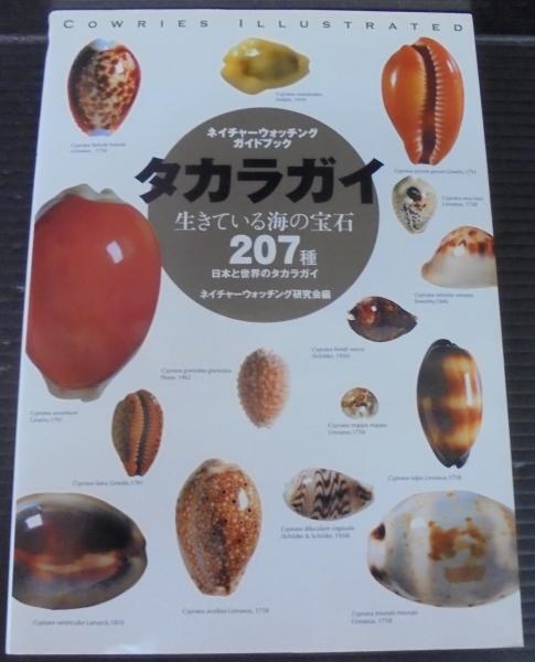玄関先迄納品 タカラガイ生きている海の宝石 日本と世界のタカラガイ207種 : 自然科学と技術