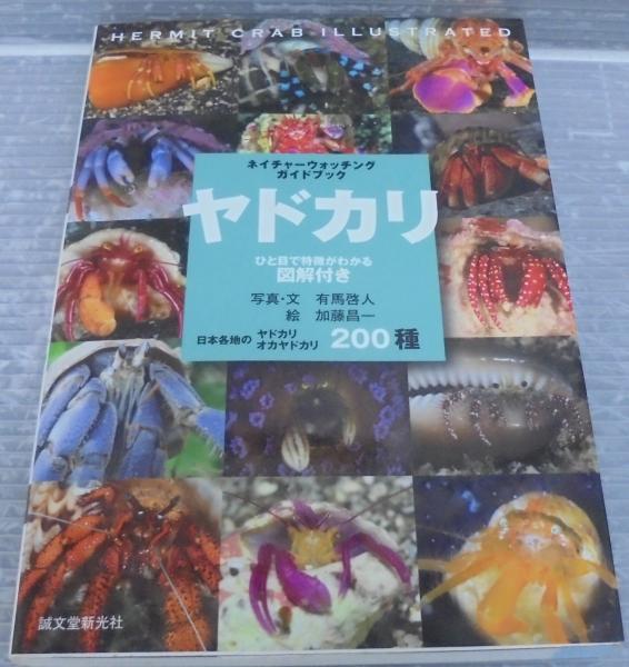 ネイチャーウォッチングガイドブック スズメダイ