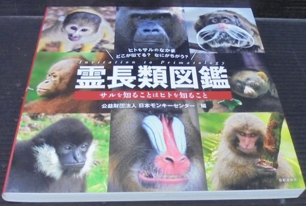 霊長類図鑑 サルを知ることはヒトを知ること 日本モンキーセンター編 古本 中古本 古書籍の通販は 日本の古本屋 日本の古本屋 霊長類図鑑 サルを知ることはヒトを知ること 日本モンキーセンター編 古本 中古本 古書籍の通販は 日本の古本屋 日本の古本屋