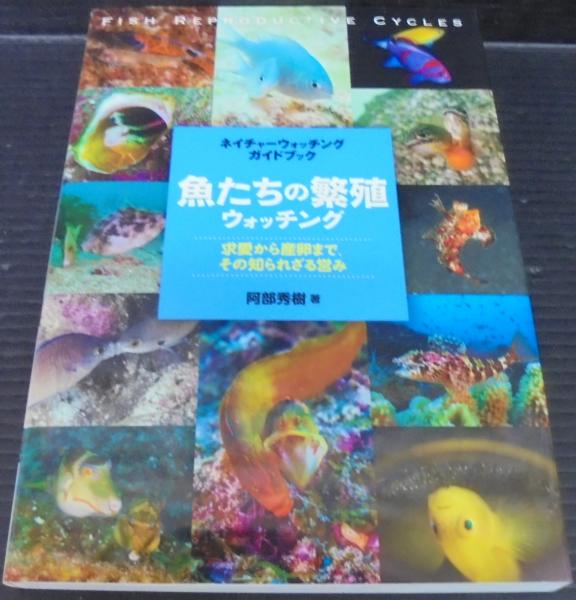 魚たちの繁殖ウォッチング ネイチャーウォッチングガイドブック Amazon