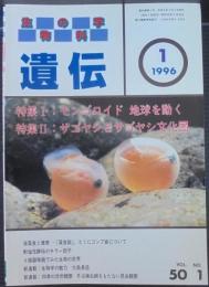 遺伝 : 生物の科学　1996年　50巻1号～12号・別冊8号　計13冊