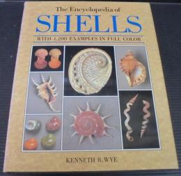 The encyclopedia of Shells