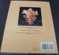 The encyclopedia of Shells