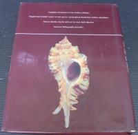 Compendium of seashells : a color guide to more than 4,200 of the world's marine shells
