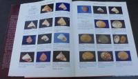 Compendium of seashells : a color guide to more than 4,200 of the world's marine shells