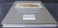 Fossils : the key to the past