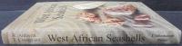 West African Seashells