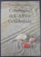 West African Seashells