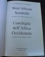 West African Seashells