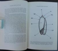 Atlas of the Living Olive Shells of the World