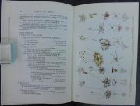 Plants of prey in Australia.