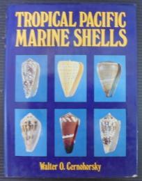 Tropical Pacific marine shells