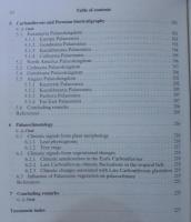 Plant fossils in geological investigation : the palaeozoic