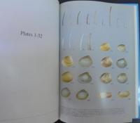 Scaphopoda, Bivalvia, Cephalopoda　Volume2