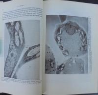 Food microscopy