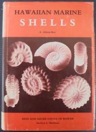 Hawaiian marine shells