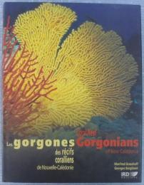 Coral reef gorgonians of New Caledonia