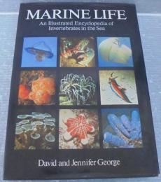 Marine life : an illustrated encyclopedia of invertebrates in the sea