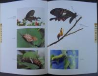 雲南野生動物　YUNNAN WILDLIFE