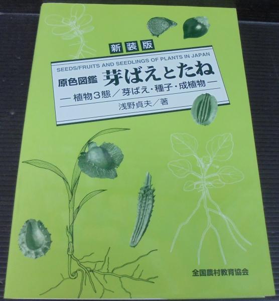 原色図鑑芽ばえとたね 植物3態 芽ばえ 種子 成植物 浅野貞夫 著 あじさい堂書店 古本 中古本 古書籍の通販は 日本の古本屋 日本の古本屋 原色図鑑芽ばえとたね 植物3態 芽ばえ 種子 成植物 浅野貞夫 著 あじさい堂書店 古本 中古本 古書籍の通販は 日本の古本屋 日本の古本屋