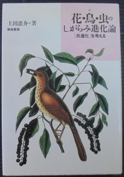 花 鳥 虫のしがらみ進化論 共進化 を考える 上田恵介 著 あじさい堂書店 古本 中古本 古書籍の通販は 日本の古本屋 日本の古本屋