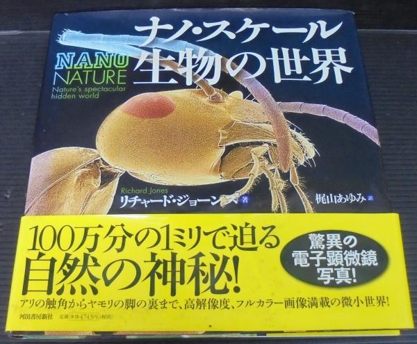 ナノ スケール生物の世界 リチャード ジョーンズ 著 梶山あゆみ 訳 あじさい堂書店 古本 中古本 古書籍の通販は 日本の古本屋 日本の古本屋 ナノ スケール生物の世界 リチャード ジョーンズ 著 梶山あゆみ 訳 あじさい堂書店 古本 中古本 古書籍の通販は 日本の古本屋 日本の古本屋