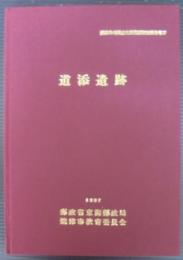 道添遺跡 : 焼津郵便局建設に伴う埋蔵文化財発掘調査報告書