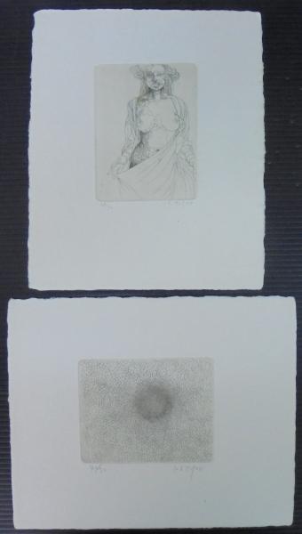 女の学問 : 城景都画集 限定600部(城景都 画) / 古本、中古本