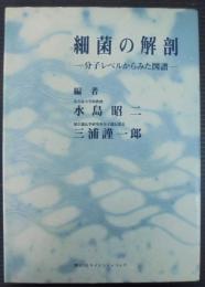 細菌の解剖 : 分子レベルからみた図譜