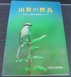 山梨の野鳥