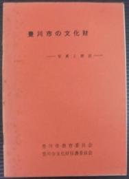 豊川市の文化財 : 写真と解説