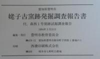 姥子古窯跡発掘調査報告書