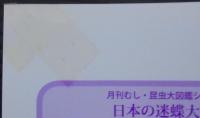 月刊むし　2017年1月号（№551）～12月号（№562）　計12冊