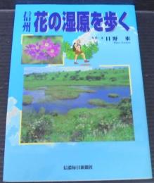 信州花の湿原を歩く