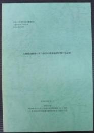 大規模崩壊後の河川地形の発達過程に関する研究