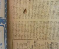 夫婦生活