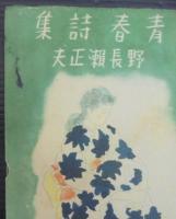 青春詩集