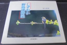 しずおか野鳥歳時記