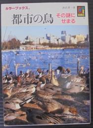 都市の鳥 : その謎にせまる