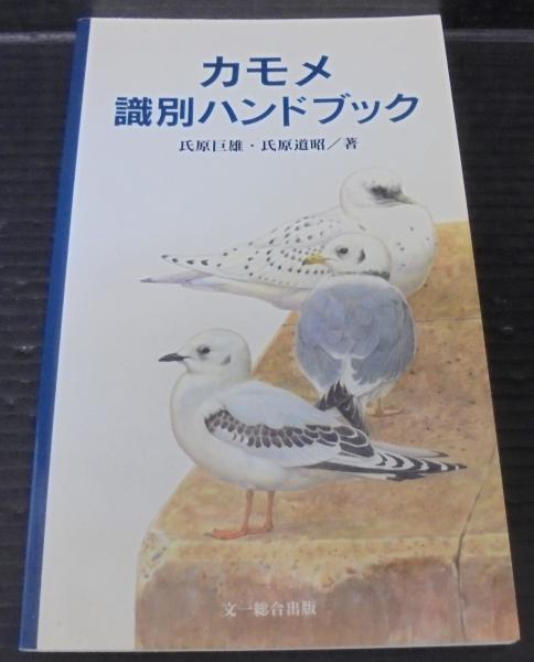 カモメ識別ハンドブック 改訂版(氏原巨雄、氏原道昭) / 古本