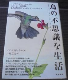 鳥の不思議な生活