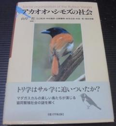 アカオオハシモズの社会